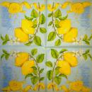 074 Lemons,  Oranges - 3 ply - (blue) - Stewo